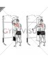 Cable 45 degrees Single Arm Reverse Grip Reverse Fly (male)