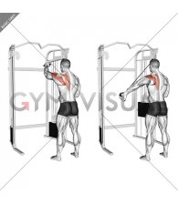 Cable 45 degrees Single Arm Reverse Grip Reverse Fly (male)