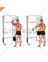 Cable 45 degrees Single Arm Reverse Grip Reverse Fly (male)
