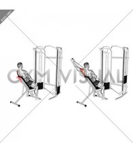 Cable Incline Single Arm Y Raise with Back Support (male)