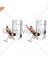 Cable Incline Single Arm Y Raise with Back Support (male)