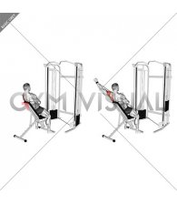Cable Incline Single Arm Y Raise Wrist Straps with Back Support (male)