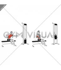 Cable Sitting Banch Single Arm Twisting Row