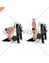 Lever Belt Romanian Deadlift (straight bar) (male)