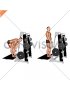 Lever Belt Romanian Deadlift (V bar) (male)