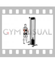 Cable Biceps Curl (with arm blaster)