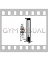 Cable Biceps Curl (with arm blaster)