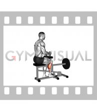Lever Seated One Leg Calf Raise