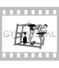 Lever Donkey Calf Raise