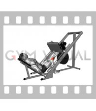 Sled One Leg Calf Press on Leg Press