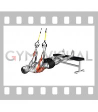 Suspender Weighted Inverted Row