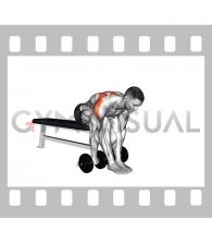 Dumbbell Seated Bent Over Rear Delt Row