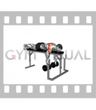 Dumbbell Lying Delt Row on Rack