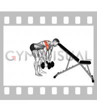 Dumbbell Alternating Rear Lateral Raise (support head)