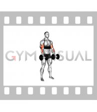 Dumbbell Biceps Curl (with arm blaster)