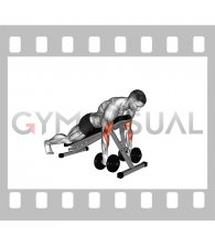 Dumbbell Spider Curl (male)