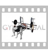 Barbell Banded Weighted Plate Bench Press (male)