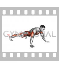 Mission Impossible Plank (male)