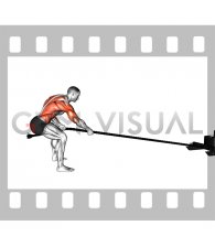 Power Sled Pull (male)
