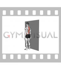 Standing Spinal Rotation Stretch against Wall (male)