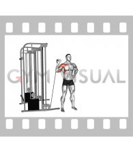 Cable Single Arm Military Press (male)
