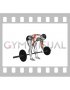 Barbell Bent over Rear Delt Row (male)
