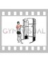 Cable Standing Rear Delt Row (male)