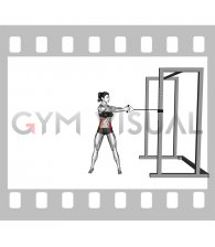Band Standing Torso Rotation (female)