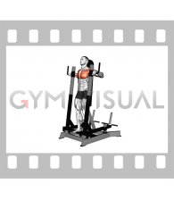 Lever Standing Chest Press (male)