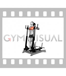 Lever Standing Chest Press (male)