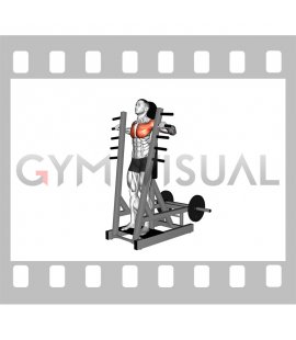 Lever Standing Chest Press (VERSION 2) (male)