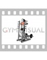 Lever Standing Chest Press (VERSION 2) (male)