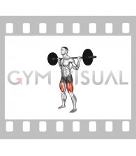 Barbell Pulse Squat (male)