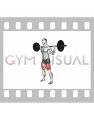 Barbell Pulse Squat (male)