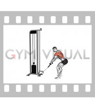 Cable Low Row with Rope Attachment