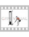 Cable Low Row with Rope Attachment