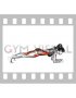 Plank Knee Tap (female)