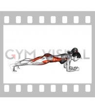 Plank Knee Tap (female)