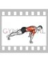 Pseudo Planche Push-up