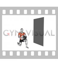 Medicine Ball Kneeling Throw (male)