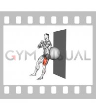 Stability Ball Isometric Single Leg Squat (male)
