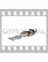 Lying Supine Single Leg Circle (female)