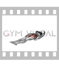 Lying Supine Single Leg Circle (female)