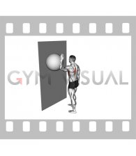 Exercise Ball Serratus Wall Single Leg Slide