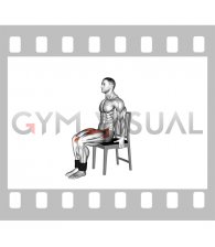 Weighted Seated Marching on a Chair (male)
