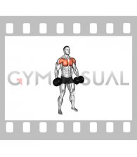 Dumbbell Standing Alternating Cross Raise