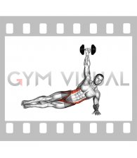 Dumbbell Side Plank (VERSION 2) (male)