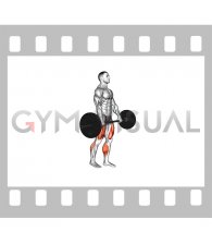 Barbell Split Stance RDL
