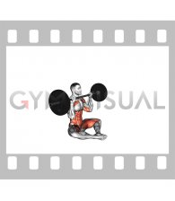 Barbell Butterfly Z Press