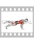 Single Leg Down to Upward Dog